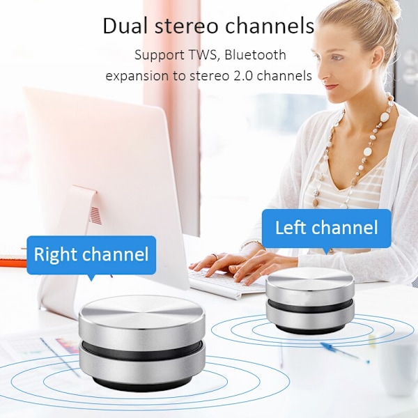 Bärbar Bluetooth Sound Box Humbird-högtalare silver silver