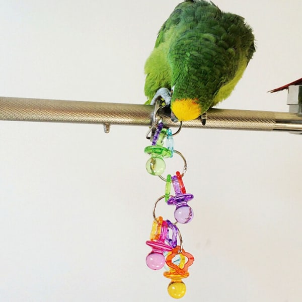 Pet Papegoja Fågel Biter Tugga Akrylleksaker Gungbur Hängande kuk