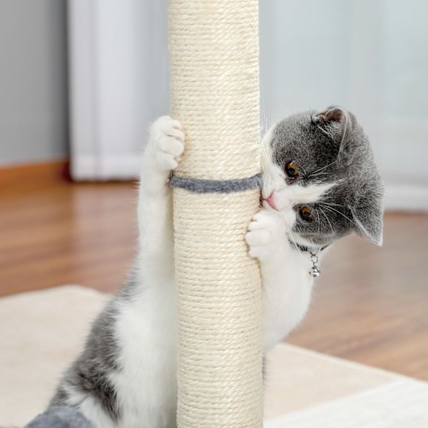 65CMCat Tree Condo Ball Skrapstolpar Cat Grinding Claw Toy Grå