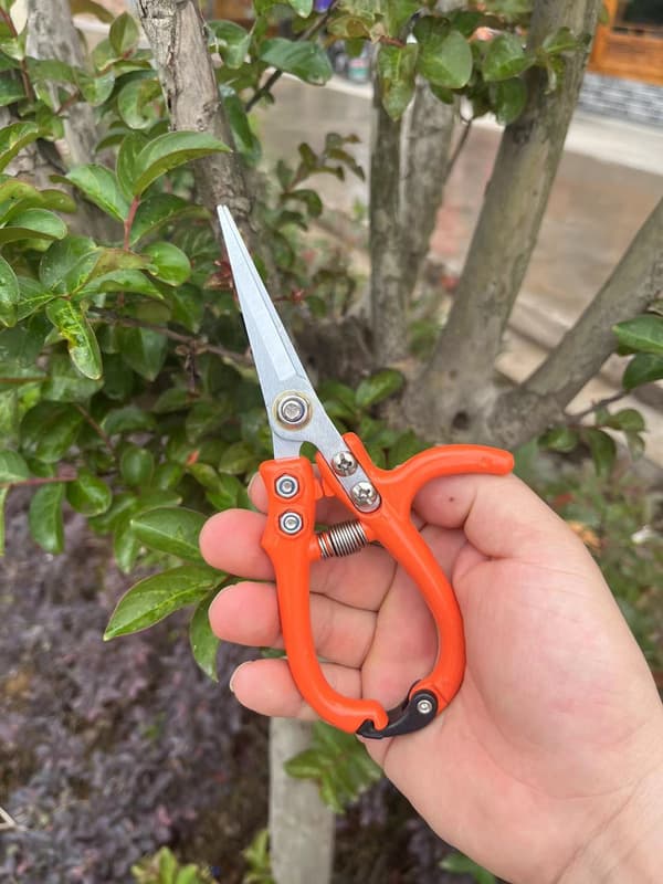multifunktionell trädgårdssax växtsax orange green
