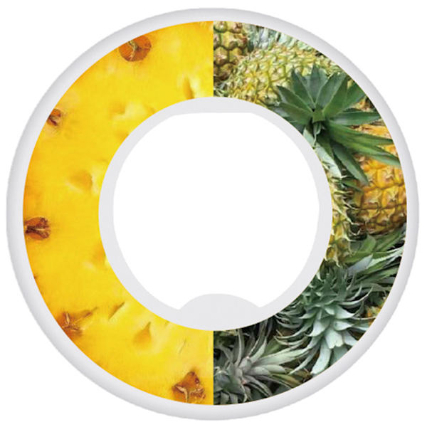 Vattenflaska Flavor Pods 0 Sockerarter 0 Kalorier Vattenkopp Doftringar för utomhusbruk ananassmak pineapple flavor