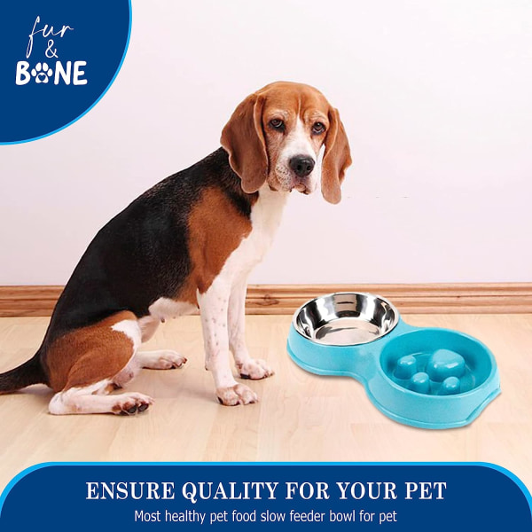 Slow Food Dual Feeder Interactive Pet Bowl blå