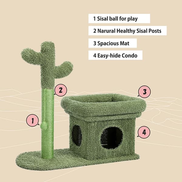 2-i-1 Cactus Cat Tree Condo med dinglande bollgrön