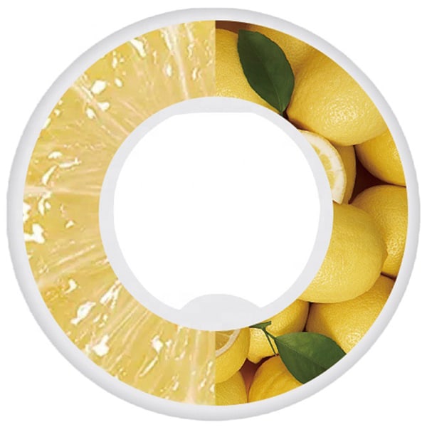 Vattenflaska Flavor Pods 0 Sockerarter 0 Kalorier Vattenkopp Doftringar för utomhusbruk ananassmak lemon flavor