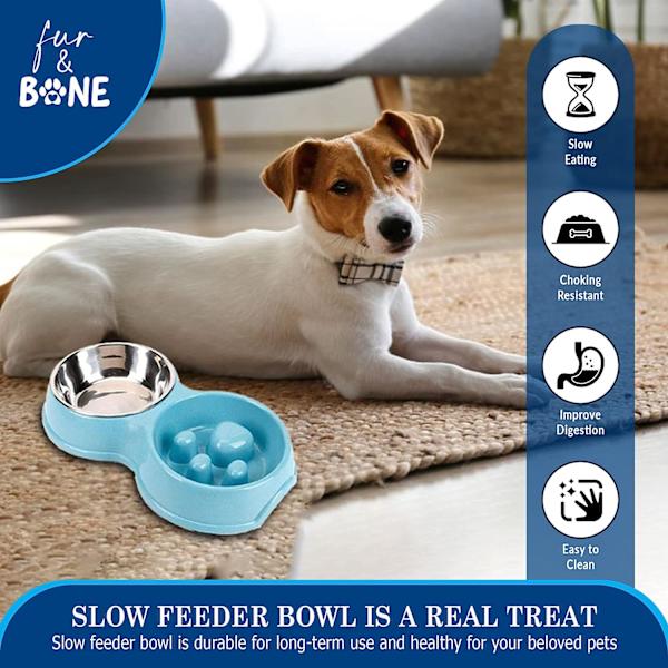 Slow Food Dual Feeder Interactive Pet Bowl blå
