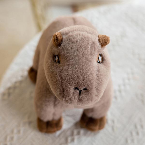 Simulering av Capybara Plyschleksak och Capybara Gosedjursdocka
