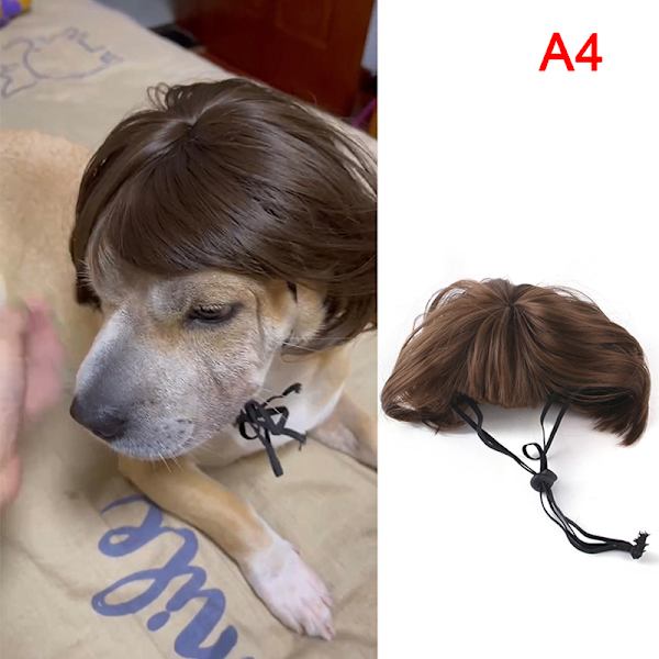 Pet Peruker Explosivt huvud Platt lugg Flätor Katter Hundar Halloween C A4 A4
