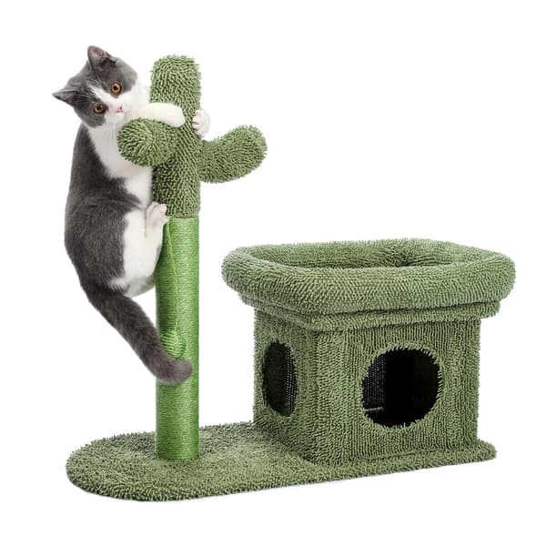 2-i-1 Cactus Cat Tree Condo med dinglande bollgrön