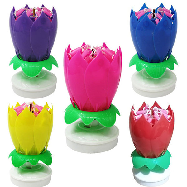 Dubbla lager ljus Lotus blomma roterande grattis på födelsedagen blomma Multicolor Purple