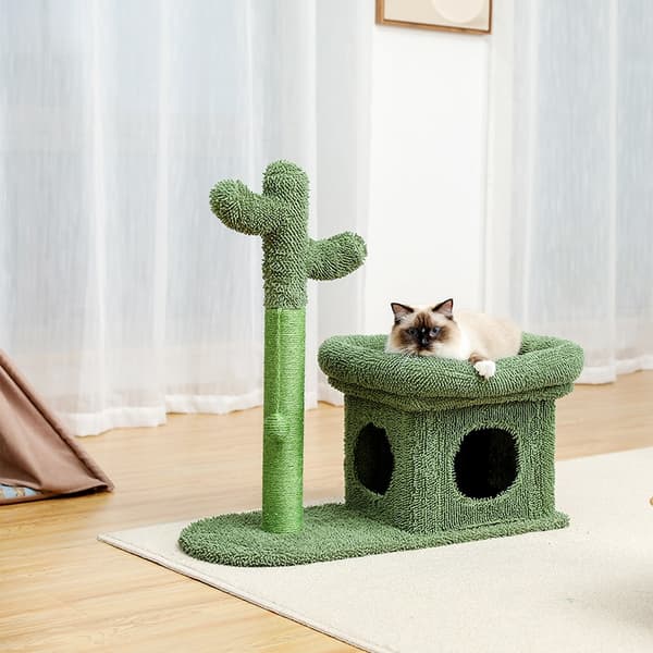 2-i-1 Cactus Cat Tree Condo med dinglande bollgrön