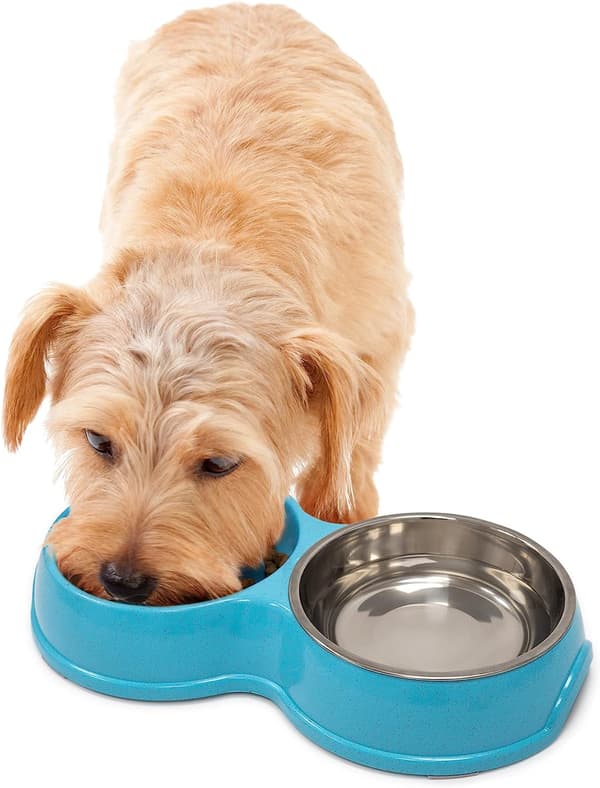 Slow Food Dual Feeder Interactive Pet Bowl blå