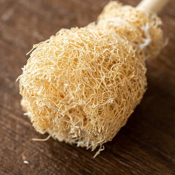 5 st Handgjorda Luffa Luffa Penna Rengöringskopp Borste