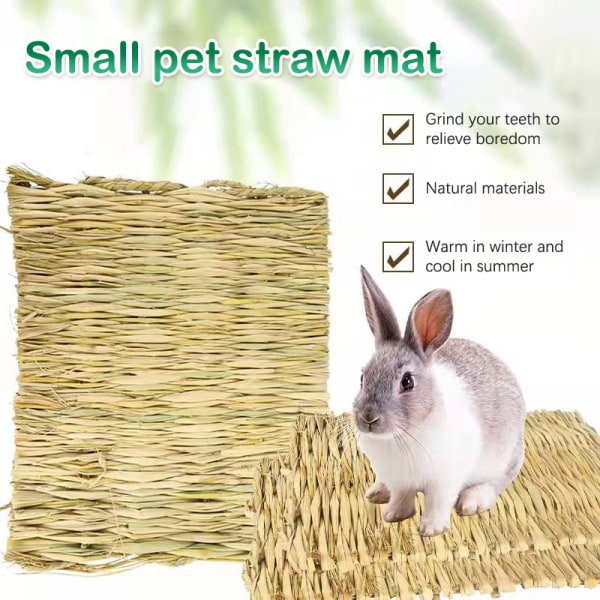 Grästuggmatta Smådjur Hamster Marsvinsbur Ätbar M 1 1