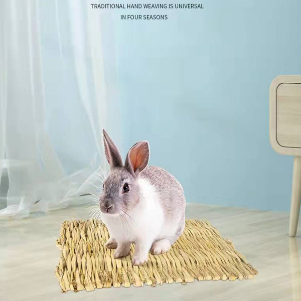 Grästuggmatta Smådjur Hamster Marsvinsbur Ätbar M 1 2