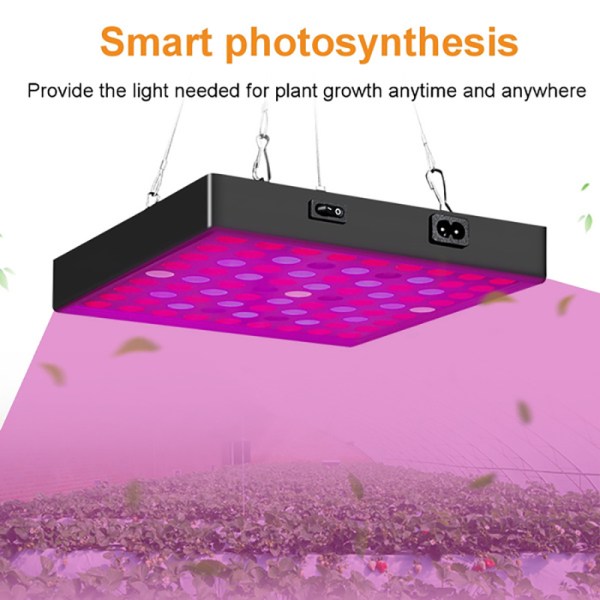 3000W LED Plant Grow Light Full Spectrum LED Justerbar 169-LED 81-LED