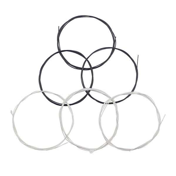 Gitarrsträngar 6: a NYLON Klassisk gitarrsträngset Set Silver