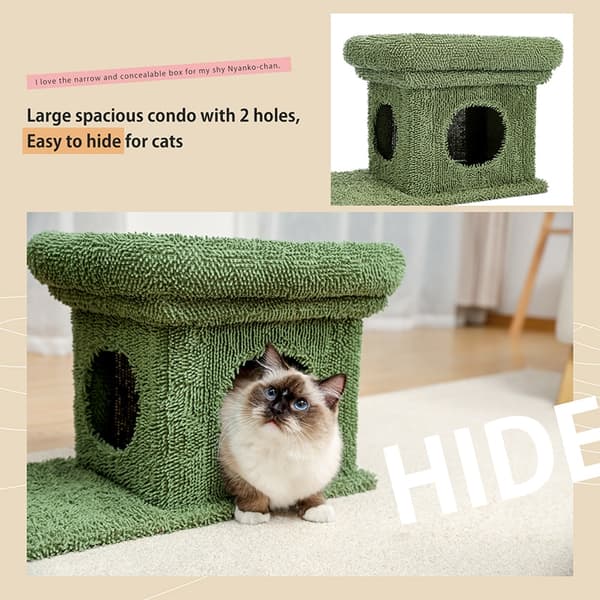 2-i-1 Cactus Cat Tree Condo med dinglande bollgrön