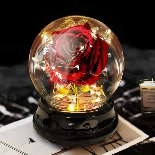 Rose i en glasskopp med belysning.