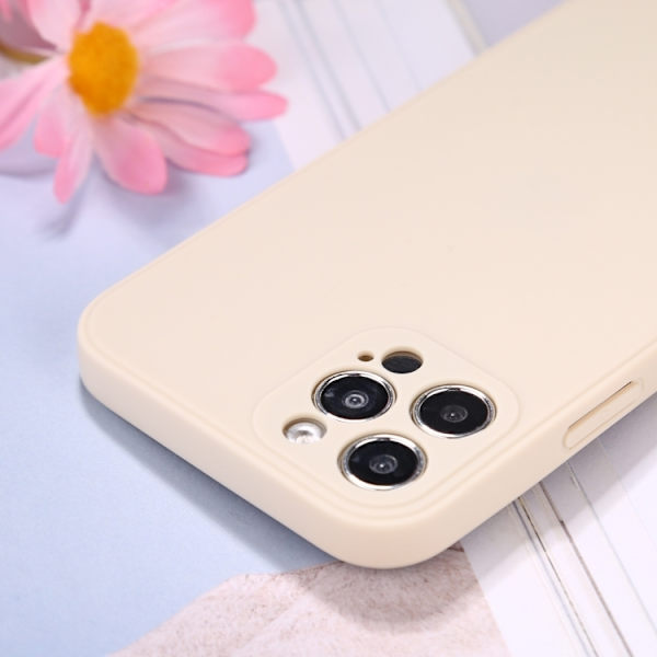 Iphone 12 Pro Max Skal