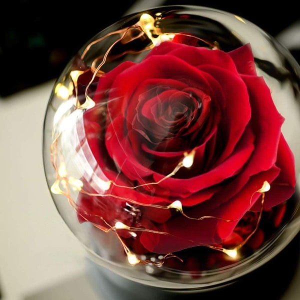 Ruusu lasikupissa valaistuksella.