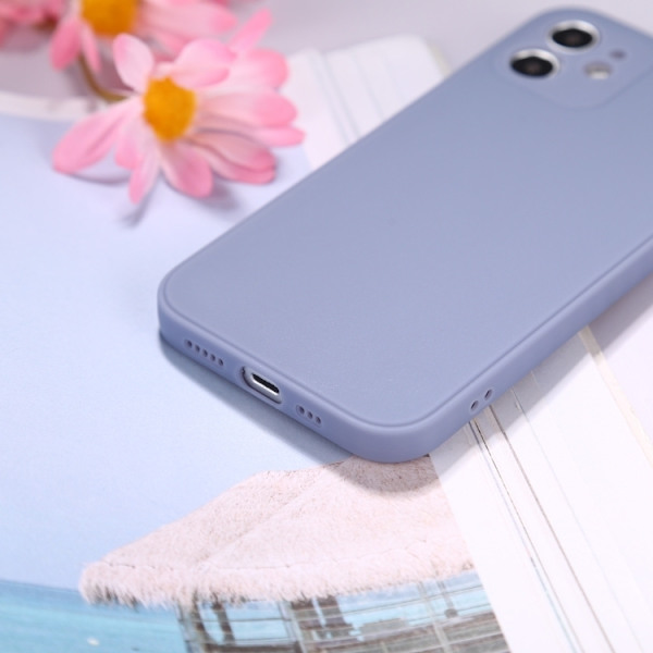 Iphone 12 Pro Max Skal