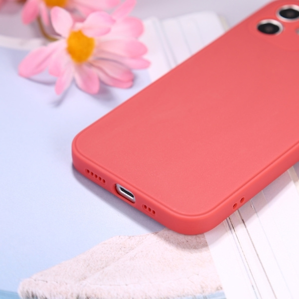 Iphone 12 Pro Max Skal