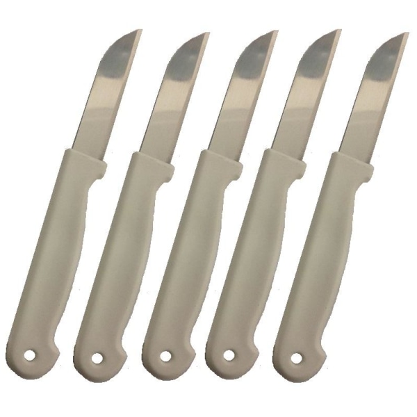 10 frugtknive i rustfrit stål - knive White
