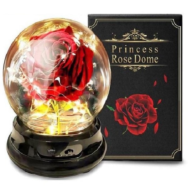 Rose i en glaskop med belysning. Valentins Dag