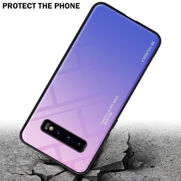 Coque - CADORABO - Samsung Galaxy S10 PLUS - TPU-skydd - Bicolor - Trendig design ROSA, BLÅ