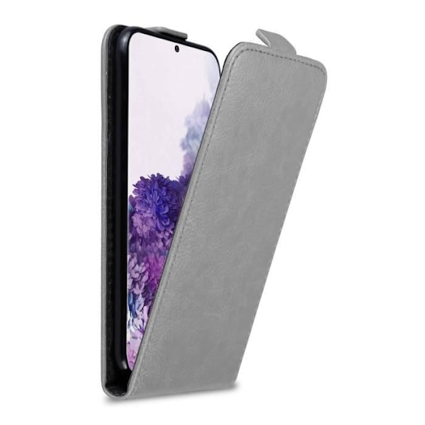 Coque - CADORABO - Samsung Galaxy S20 PLUS - Grå Titan - Magnetiskt Flip - Komplett Skydd Titanium grå