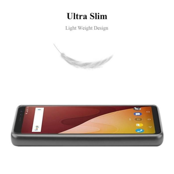 Cadorabo Fodral fungerar med WIKO VIEW GO i METALLIC GREY - Stötsäker och reptålig TPU silikonskydd - Ultra Slim