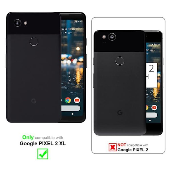 Coque - CADORABO - PIXEL 2 XL - Metallisk - Stötteknapp - Elegant design Pengar