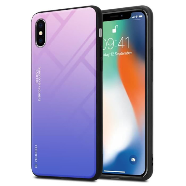 Fodral till Apple iPhone X / XS Skal i ROSA - BLÅT Fodral Skyddsskydd i två färger TPU ROSA - BLÅ