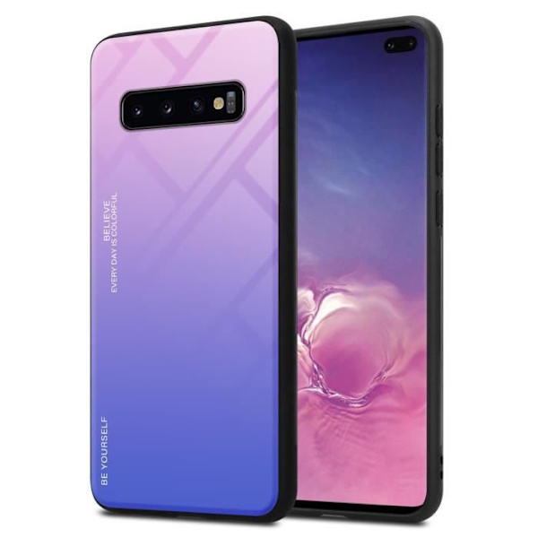 Coque - CADORABO - Samsung Galaxy S10 PLUS - TPU-skydd - Bicolor - Trendig design ROSA, BLÅ