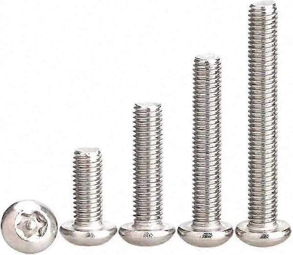[RM]304 Rostfria Stöldskydd Torx Säkerhetsskruvar M5x30mm (10st)