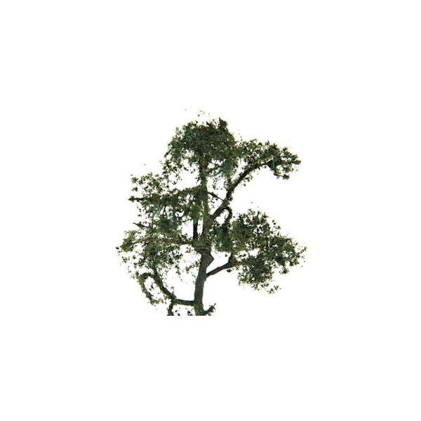 3.54 Tum Landskap Modell Platan Träd Layout Diorama Bakgrunder 5 Stycken