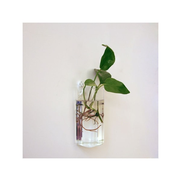 Stycken Klar Bollformad Glasblomma Vas Växtflaska Heminredning Terrarium