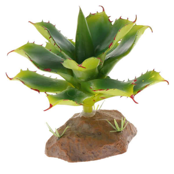 4 st Suckulent Växt Med Hartsbas Reptil Terrarium Ornament Vivarium Vardagsrum
