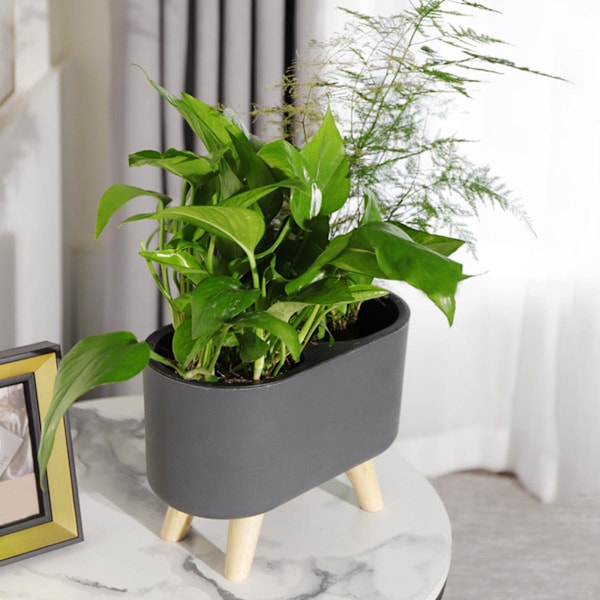 Självbevattnande Planteringskärl Örtväxter Kruka Planteringskärl Blomkruka Svart Med Ben