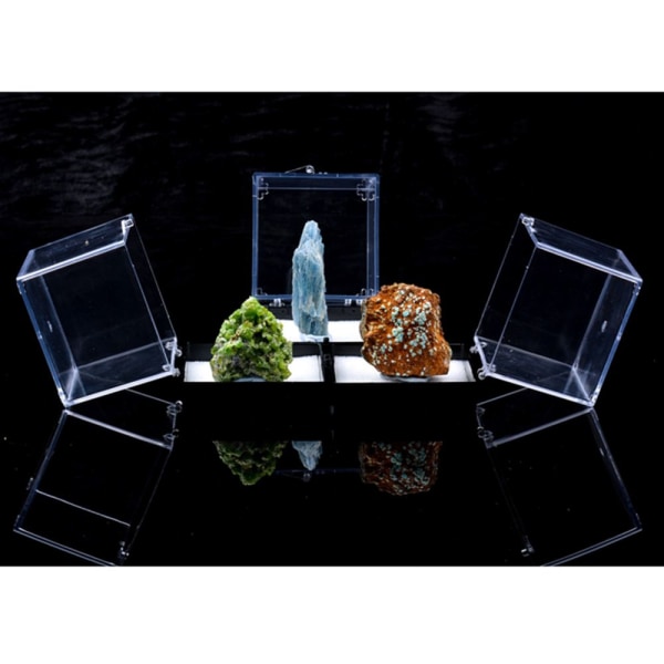 Förpackning Akryl Displayfodral För Djurfigurer 3D Modell Samling 3x3x3.5cm