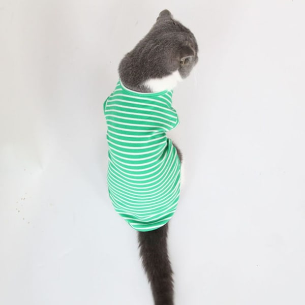 Hund katt kläder