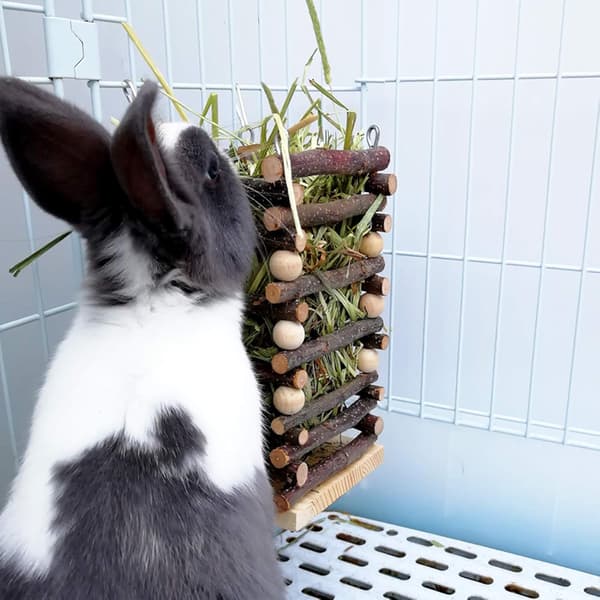 Applewood Hay Feeder for Rabbit - Wooden Board with 2 Hooks