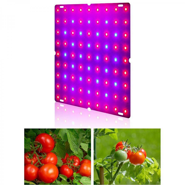 LED Växtlampor Röd Blå Panel Växtlampor För Växter 169 LEDs