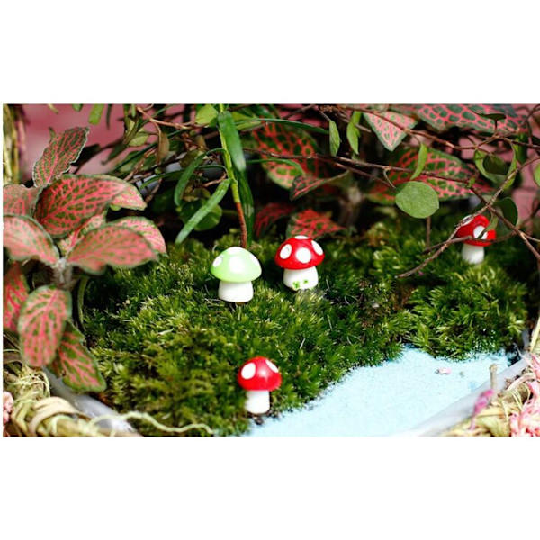Miniatyr svamp mini älvträdgård hantverk mikro dekor rosa lila rosa röd