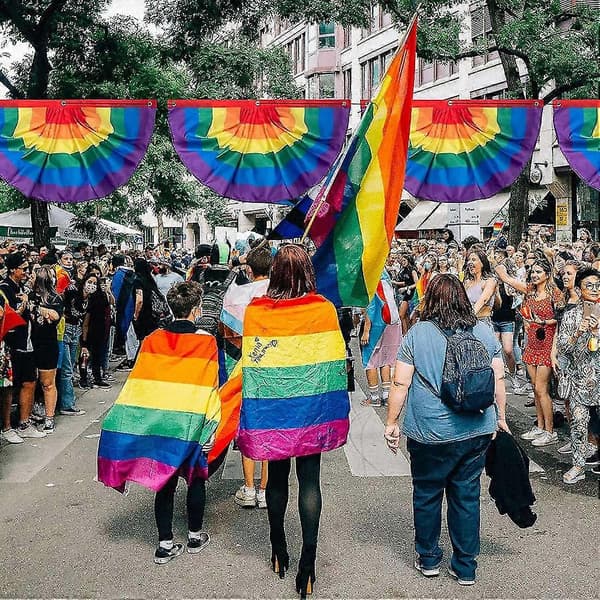 2-delt Regnbue Pride Bunting, regnbue Pride plisseret vifteflag banner