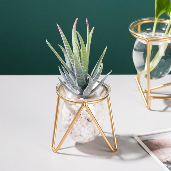 Hydroponisk Växt Glasvas Bonsai Blomkruka Ram Heminredning Kort