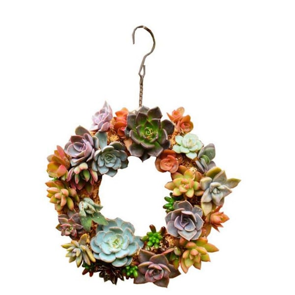 Metall Succulent Planter blomkruka 15cm