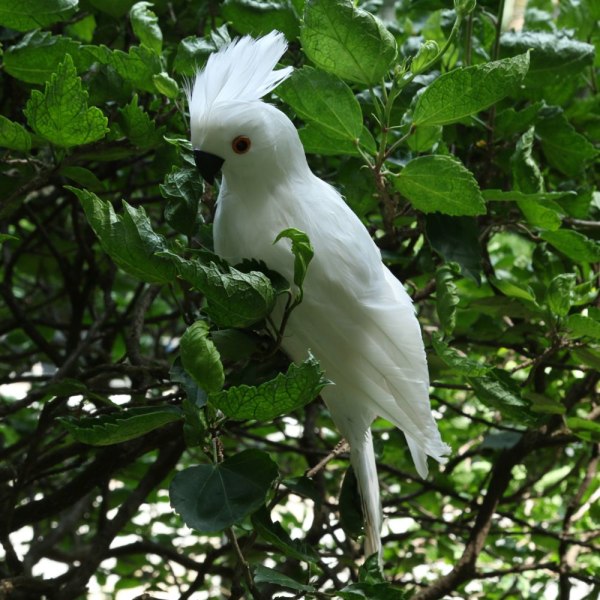 Hantverk Realistiska Levande papegojfigurer Fåglar Modell Trädgårdsprydnad Vit