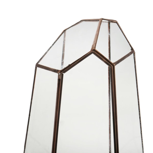 geometrisk oregelbunden glasterrariumbordslåda suckulentväxt m