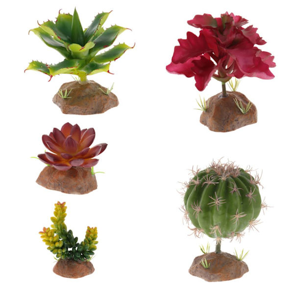 4 st Suckulent Växt Med Hartsbas Reptil Terrarium Ornament Vivarium Vardagsrum